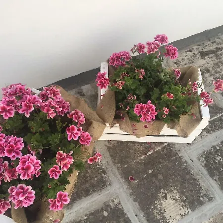 Magale Alojamento de Acomodação e Pequeno-almoço Santa Maria al Bagno